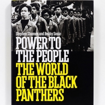 Power to The People: The World of The Black Panthers