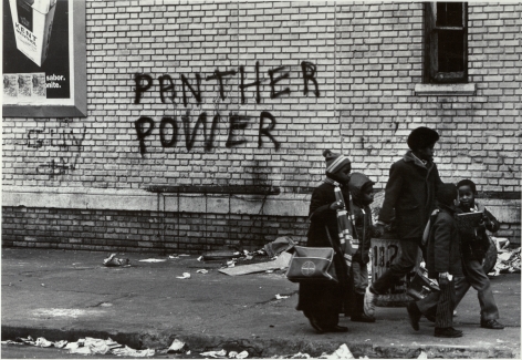Stephen Shames- "Panther Power"