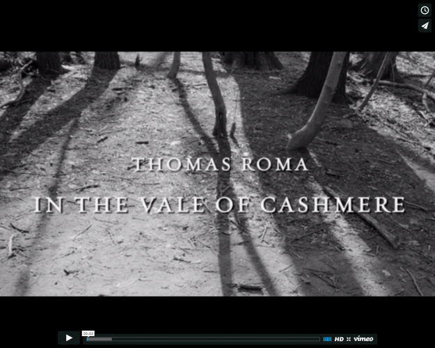 Video Release: Steven Kasher Gallery Releases New Video, First in Series: Thomas Roma: In the Vale of Cashmere